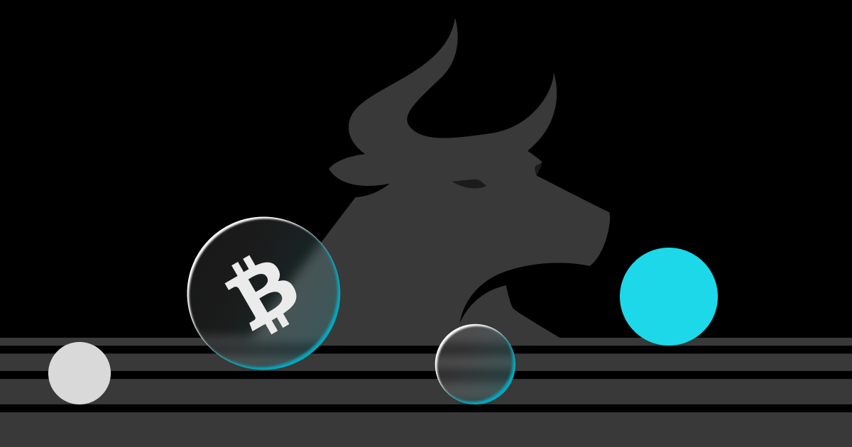 携手探索数字前沿